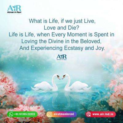 happiness and positivity quotes  inspirational quotes for motivation in life  inspirational quotes for self motivation   inspirational self motivation quotes