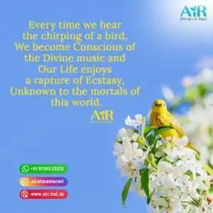 loneliness quotes-unique quotes on life short-happy thoughts-romantic quotes-albert einstein quotes-trust quotes-peace of mind quotes