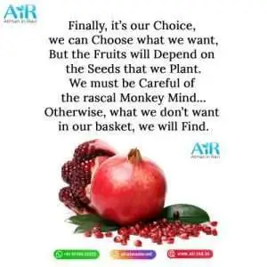 Get inspired by Carl Sagan, sleep, sweet words, Charles Bukowski, Nietzsche quotes, and vibes. Dive into wisdom and motivation!