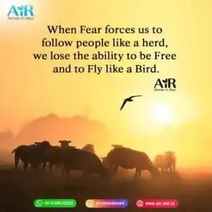 cat quotes adventure quotes short best friend quotes small quotes mom quotes from daughter saturday quotes