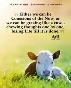 motivational quotes for success success quotes quotes about success in life quotes about success and hard work