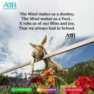 powerful and motivational quotes quotes for motivation success powerful and motivational quotes positivity happiness quotes